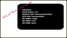 bash script