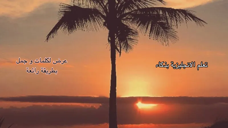 تعلم بذكاء