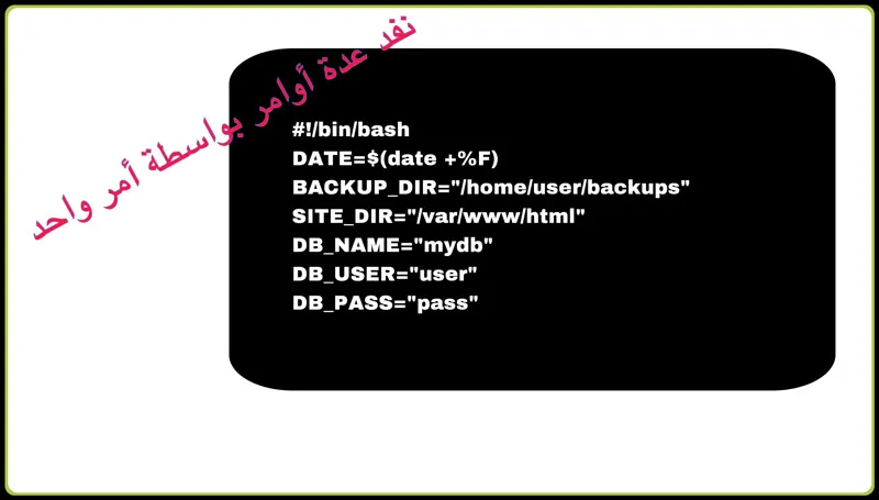 bash script